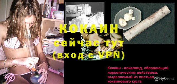 дмт Елизово