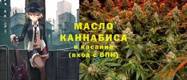 дмт Елизово