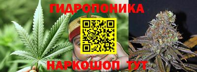 ECSTASY Донской