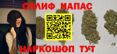ECSTASY Донской