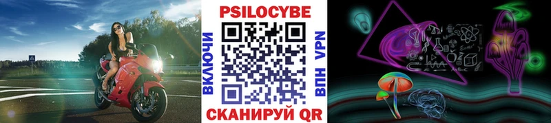 Псилоцибиновые грибы GOLDEN TEACHER  Обнинск 