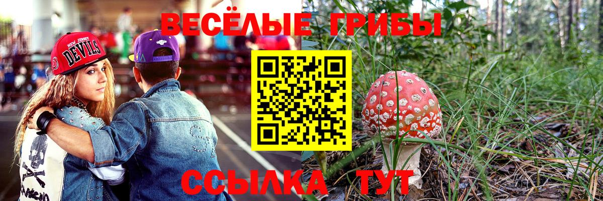 Галлюциногенные грибы Psilocybine cubensis  Галлюциногенные грибы мицелий  Вход с VPN  Обнинск 