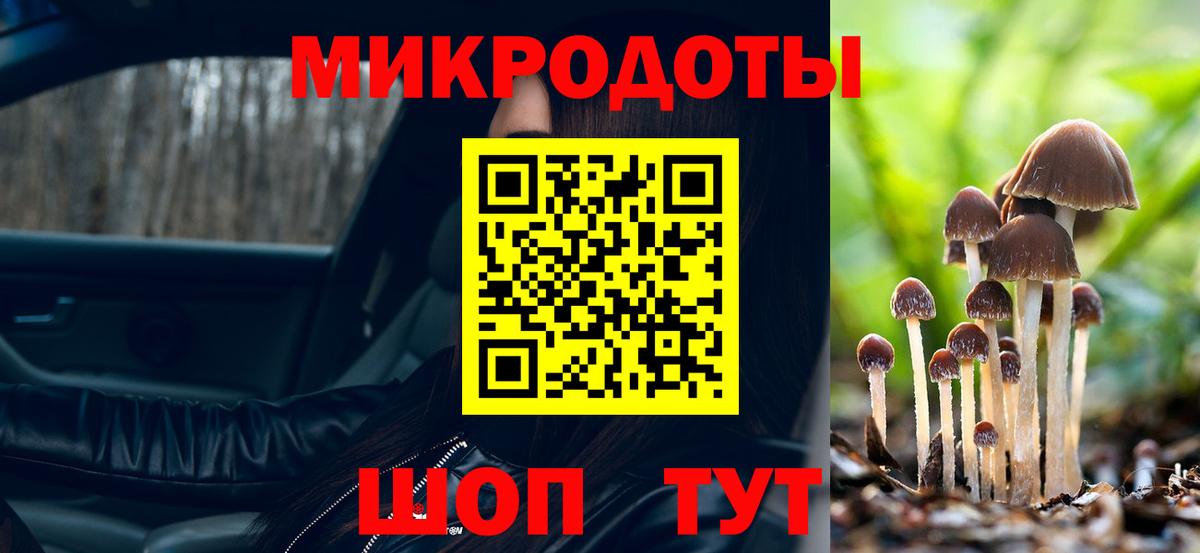 Галлюциногенные грибы прущие грибы Обнинск